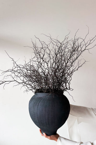 Dried Corokia - Natural - image 4