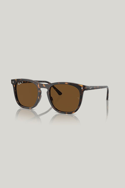 RB2210 Polarised - Tortoise - image 1