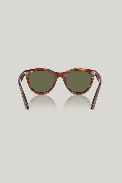 WAYFARER WAY Polarised - Brown - image 4