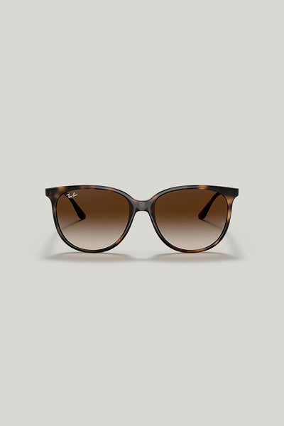 RB4378 - Tortoise - image 2