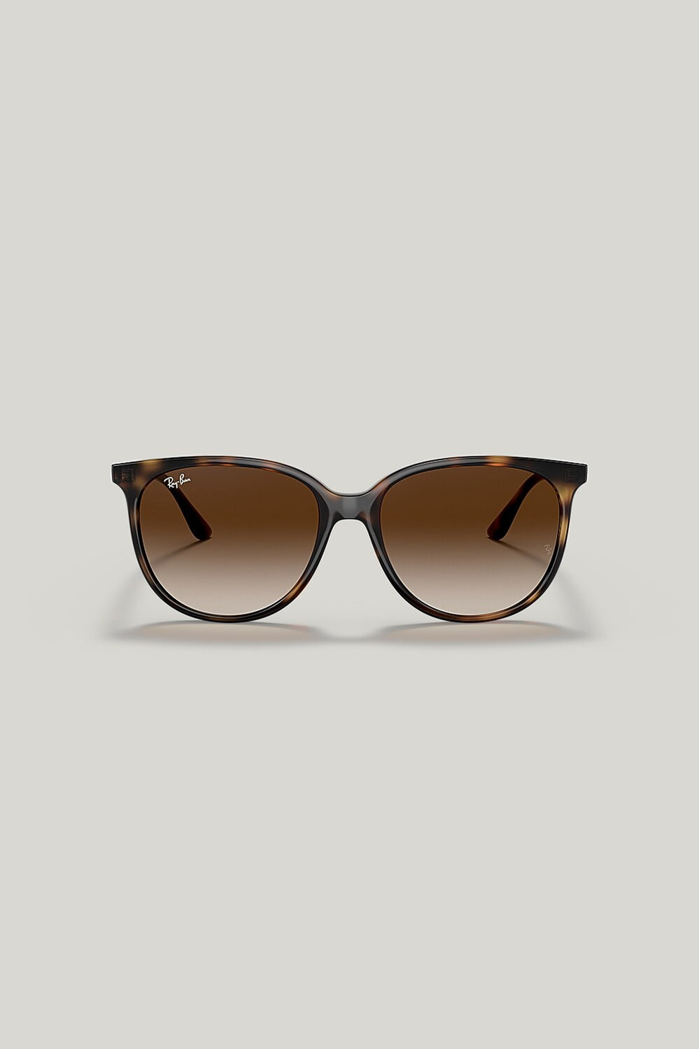 RB4378 - Tortoise - image 2