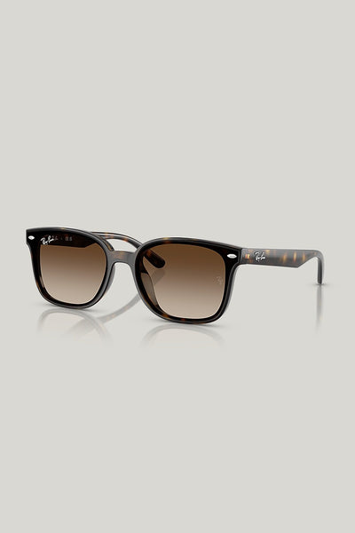 RB4461D - Tortoise - image 1