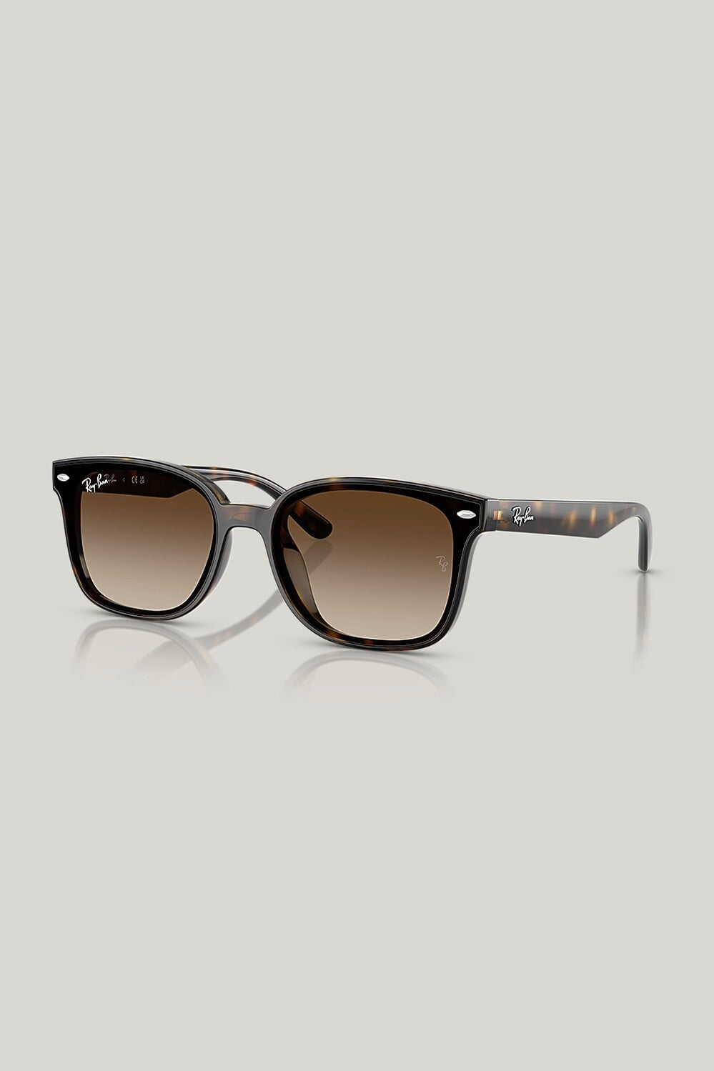 RB4461D - Tortoise - image 1