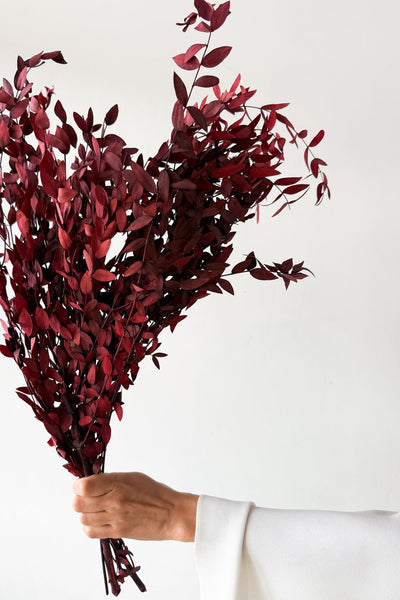 Preserved Small-leaf Gum - Maroon - image 2