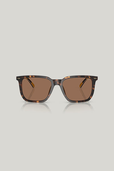 PH4224U - Tortoise - image 2