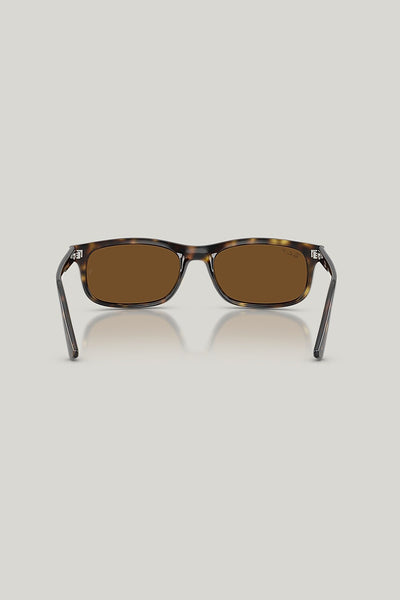 RB2224 Polarised - Tortoise - image 4
