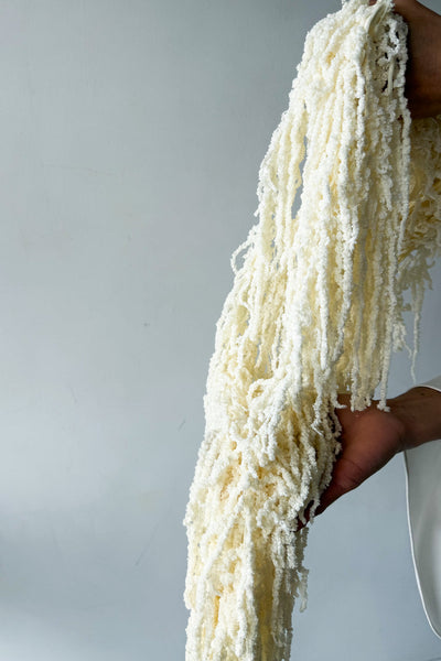 Preserved Amaranthus - Ivory - image 4