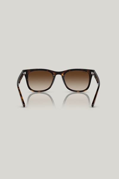 RB4420 - Tortoise - image 4