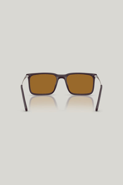 AX4175SU Polarised - Brown - image 4