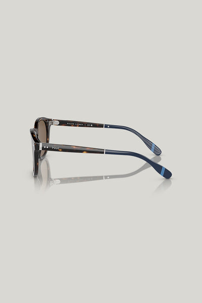 PH4206 - Tortoise - image 3