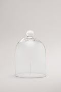 Dome Cloche