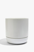 Andy Large Planter
