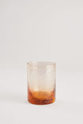 Martin Glass Tumbler