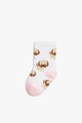Dog Sock