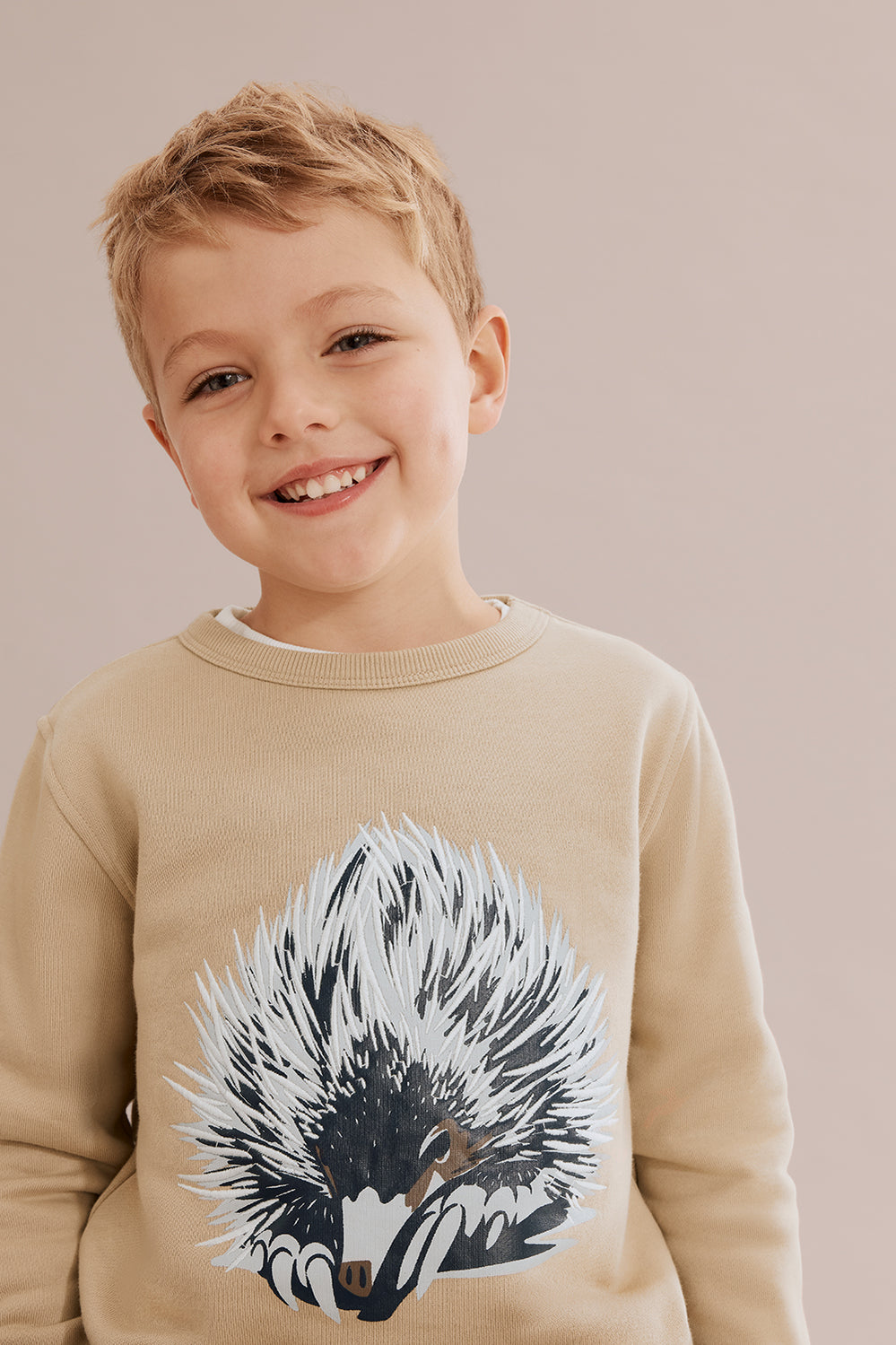 Cotton Echidna Sweat