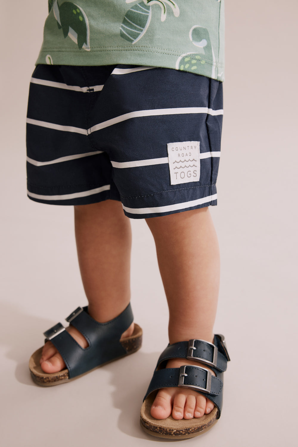Stripe Board Short