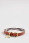 Alfie Polyester Small Pet Collar