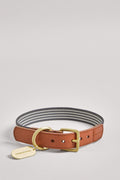 Alfie Polyester Large Pet Collar