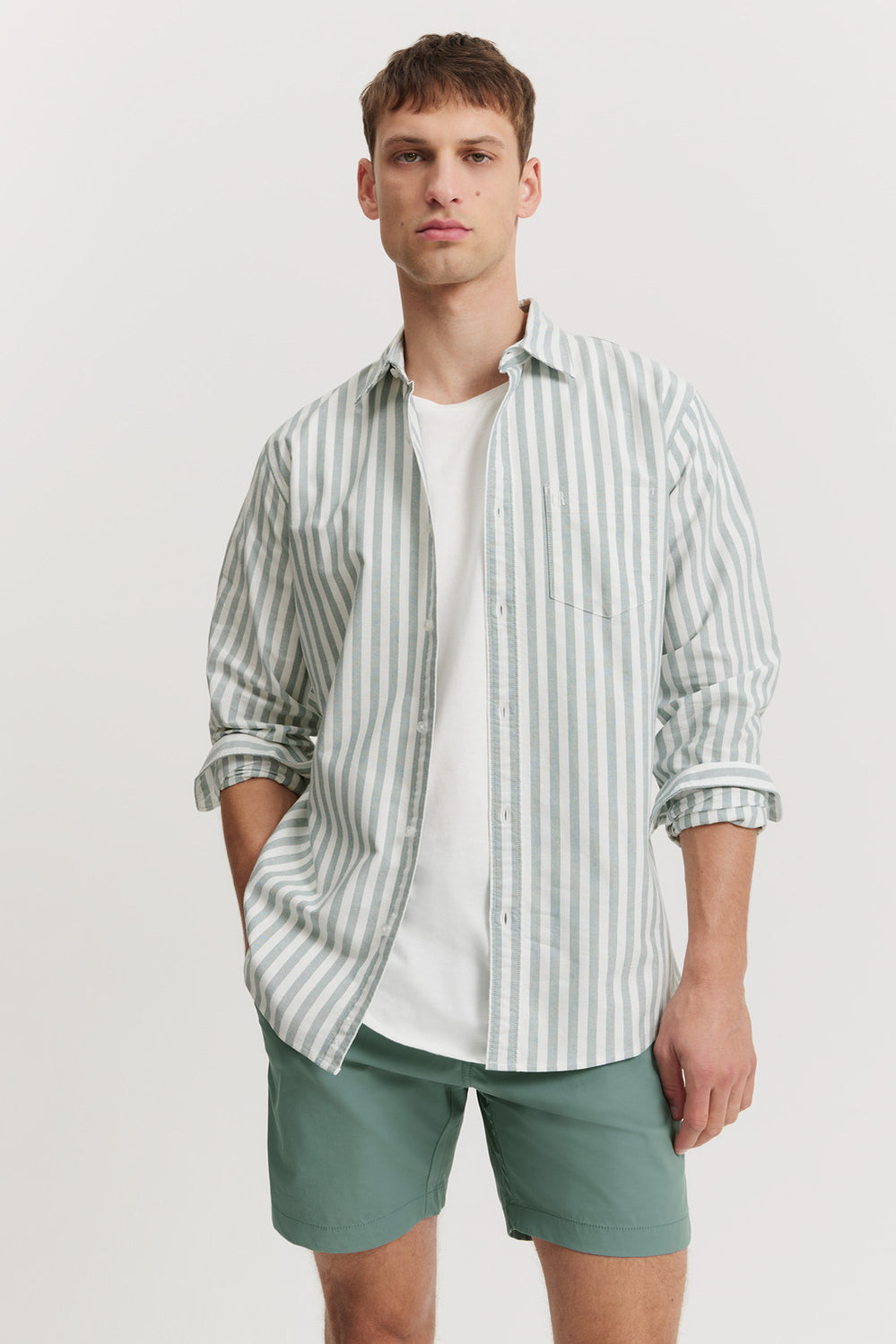 Regular Fit Cotton Stripe Oxford Shirt