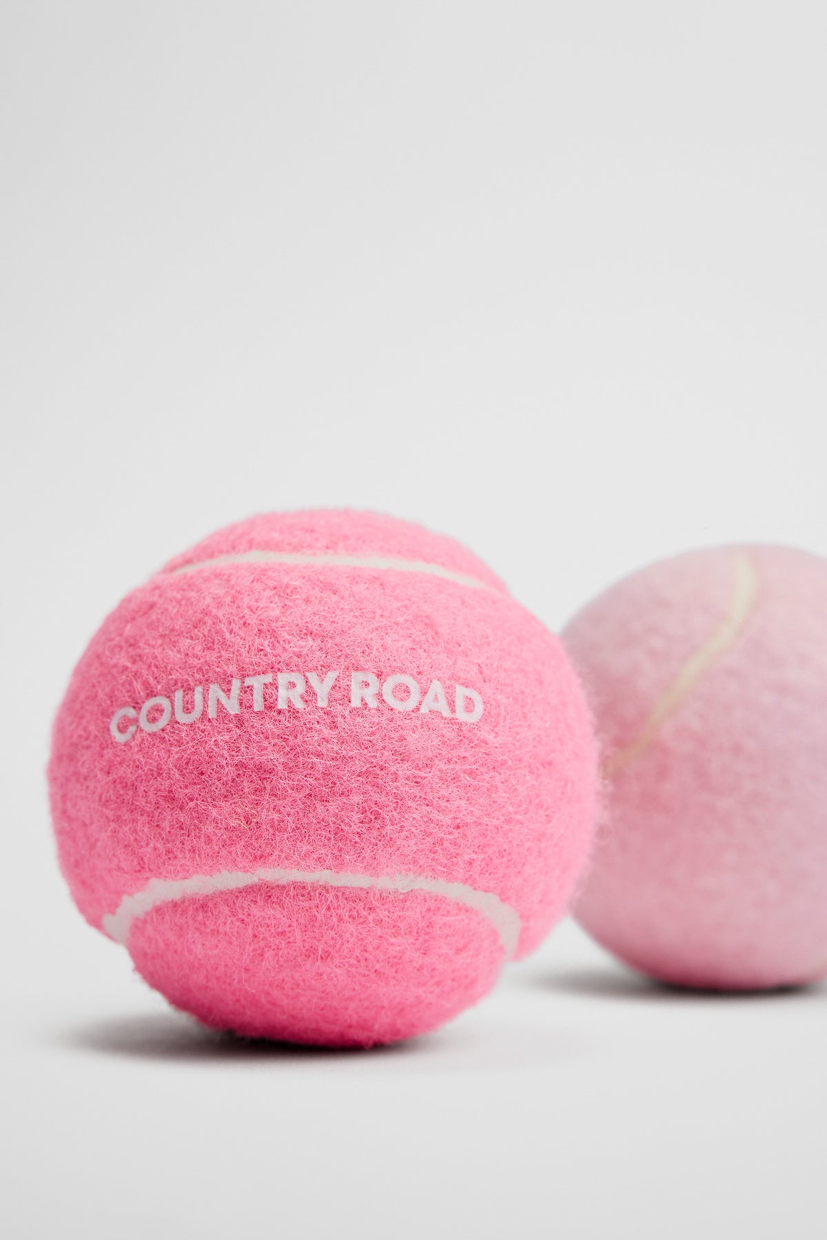 Pet Ball Pack Of 2