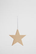 Star Timber Decoration