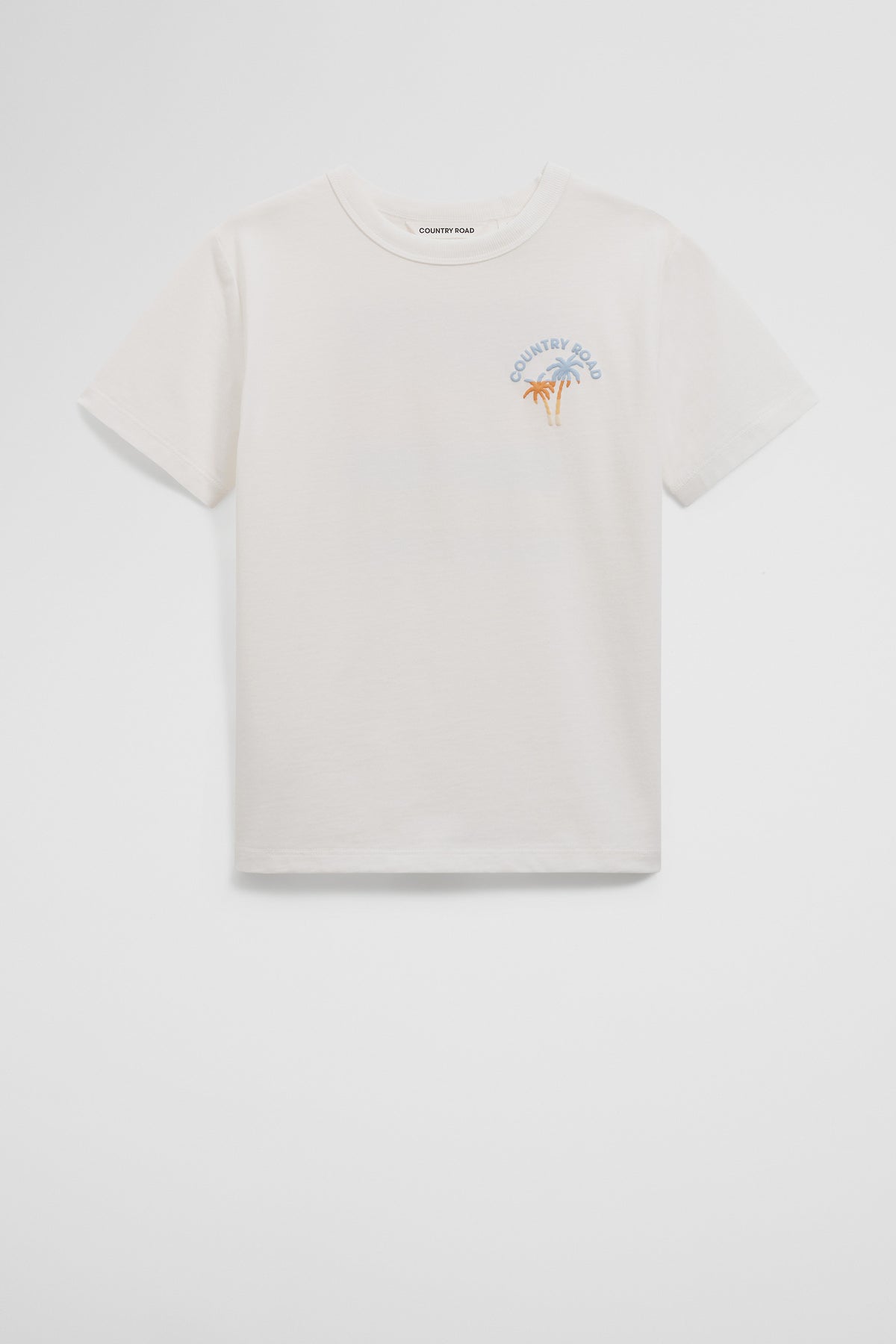 Oversized Ombre Palm T-Shirt