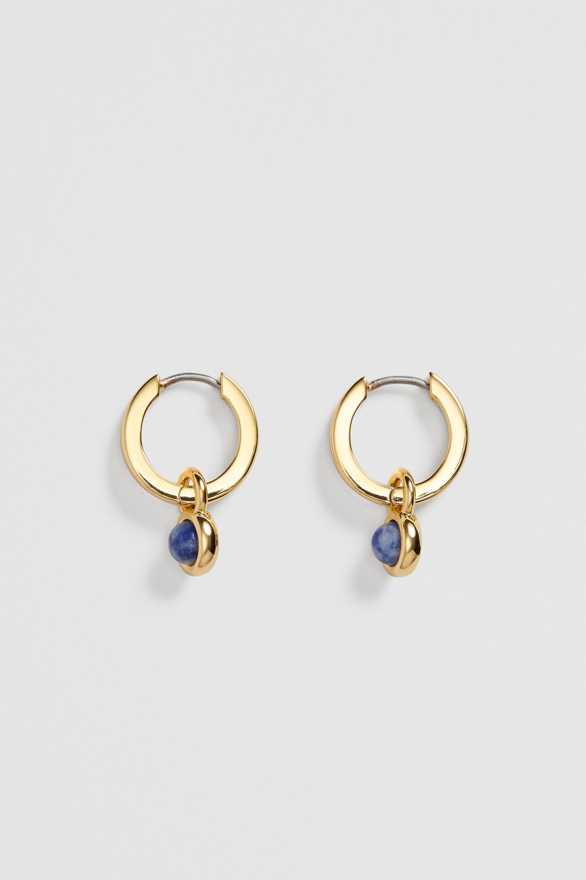 Arya Hoop Earring