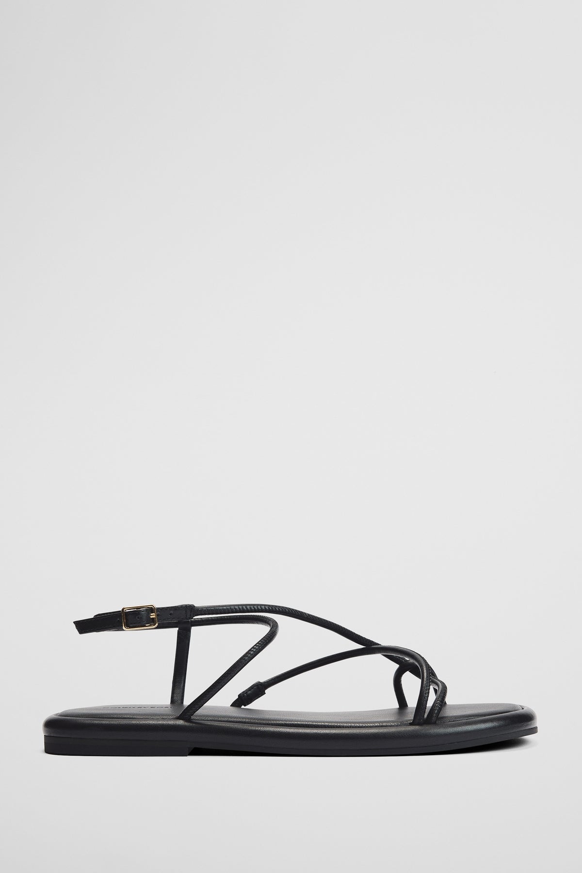 Steph Sandal