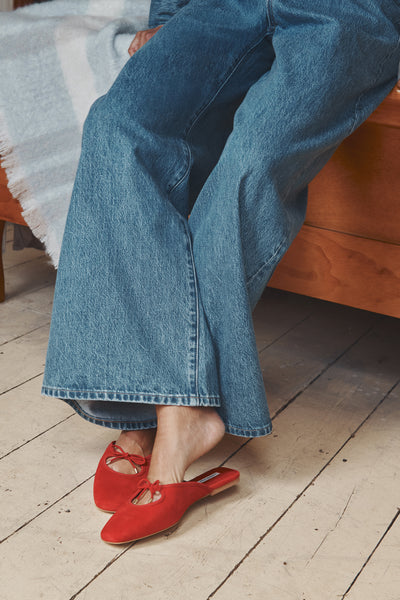 Ariana Mule