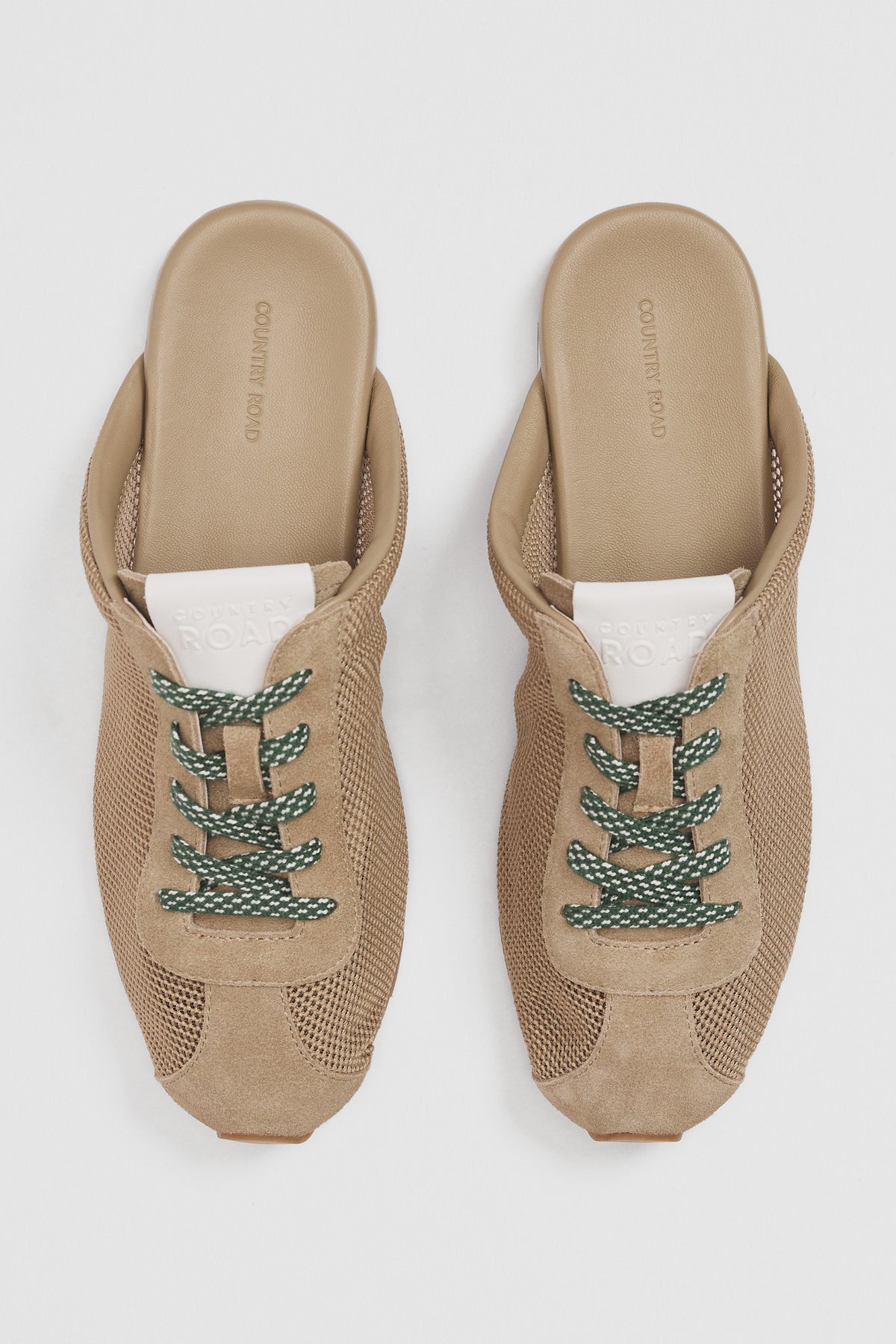 Darcy Mule