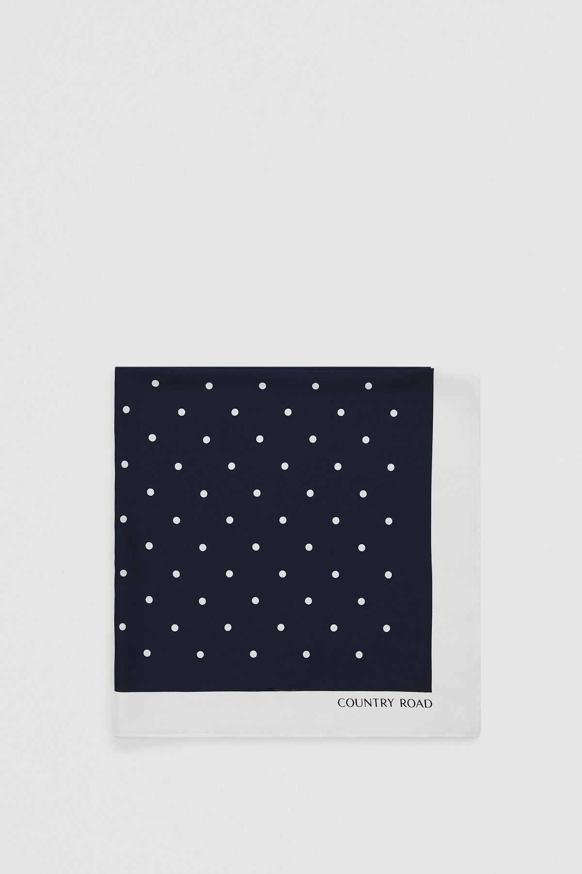 Silk Spot Scarf