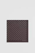 Silk Stripe Scarf