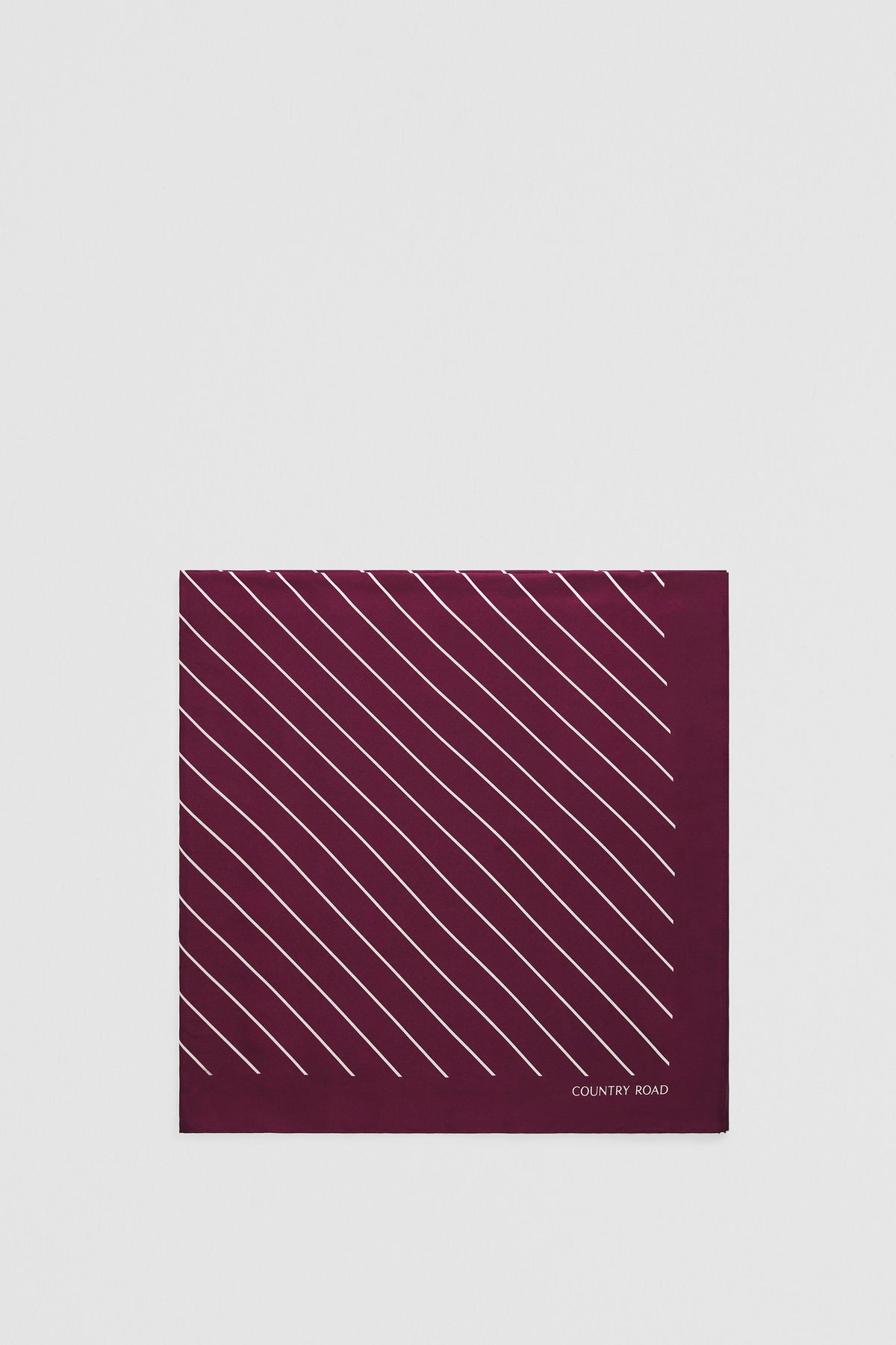 Silk Stripe Scarf
