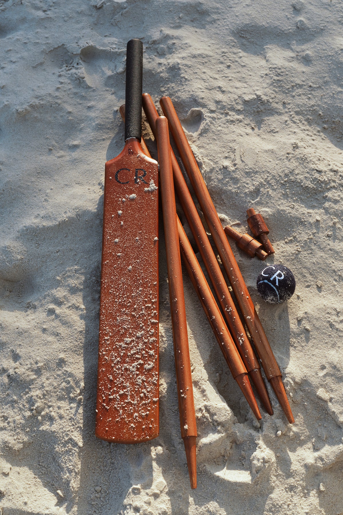 Theo Beach Cricket