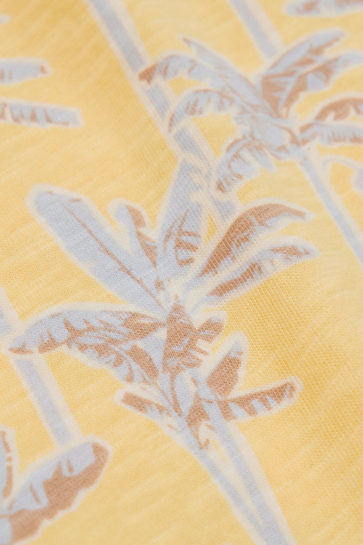 Organically Grown Cotton Relaxed Fit Short Sleeve Palm Print T-Shirt