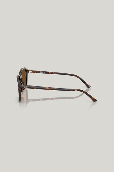 RAIMOND Polarised - Tortoise - image 3