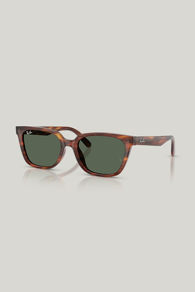 RB2243D - Brown - image 1