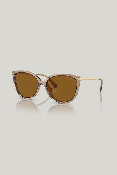 DUPONT Polarised - Brown - image 1