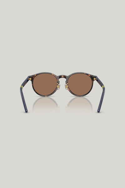 PH4236F - Tortoise - image 4