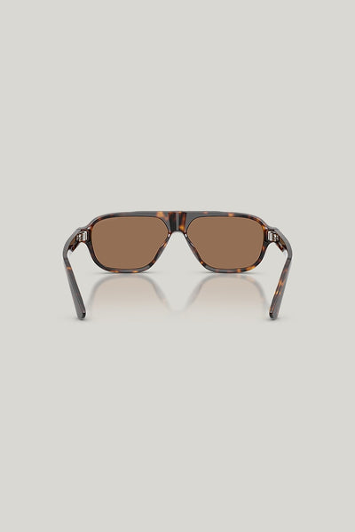 EA4285U - Tortoise - image 4