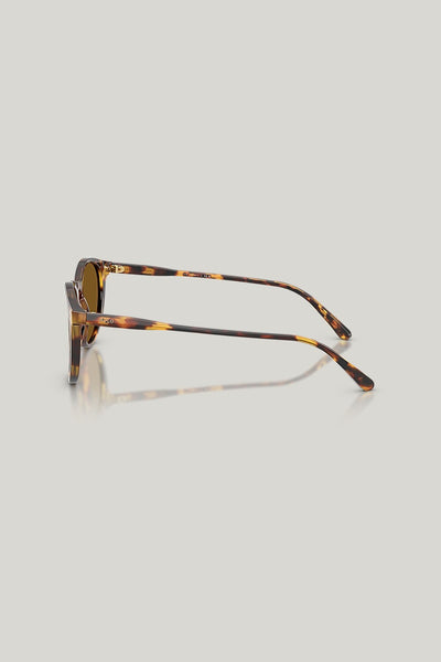 PH4110 Polarised - Tortoise - image 3