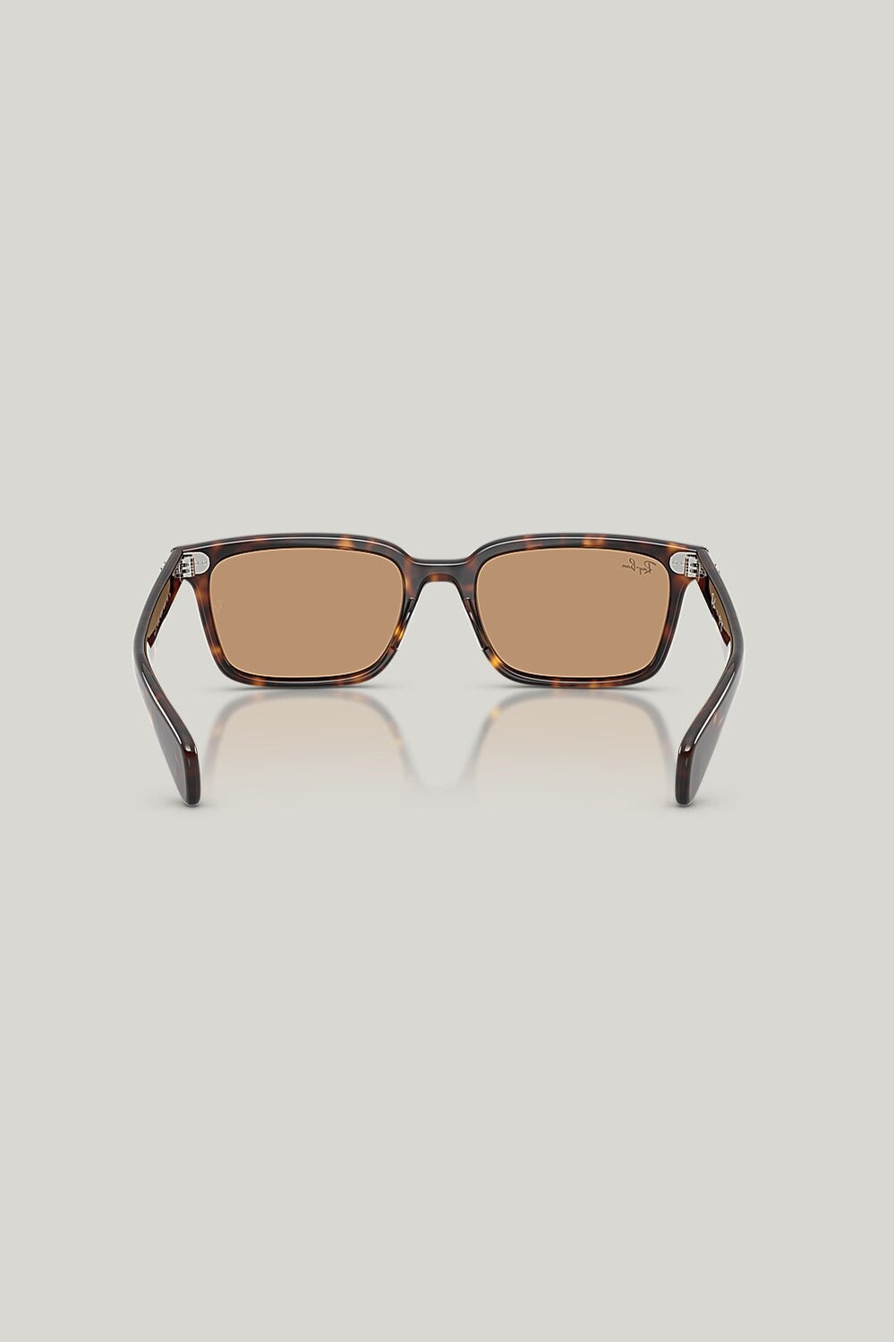 BRUNEL - Tortoise - image 4