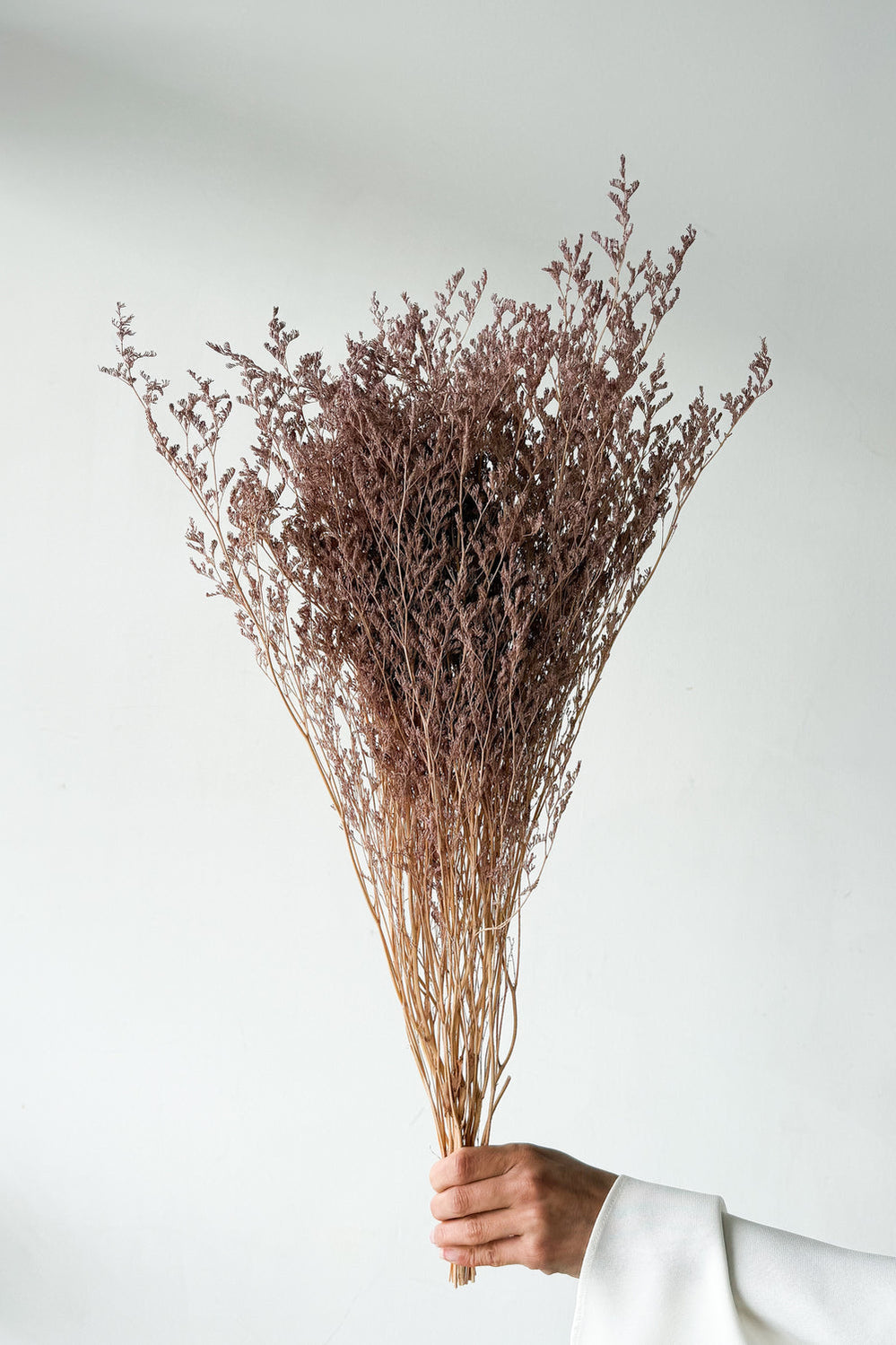 Preserved Misty - Tan - image 1