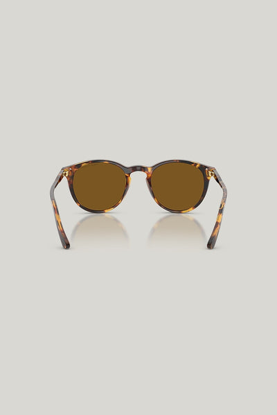 PH4110 Polarised - Tortoise - image 4