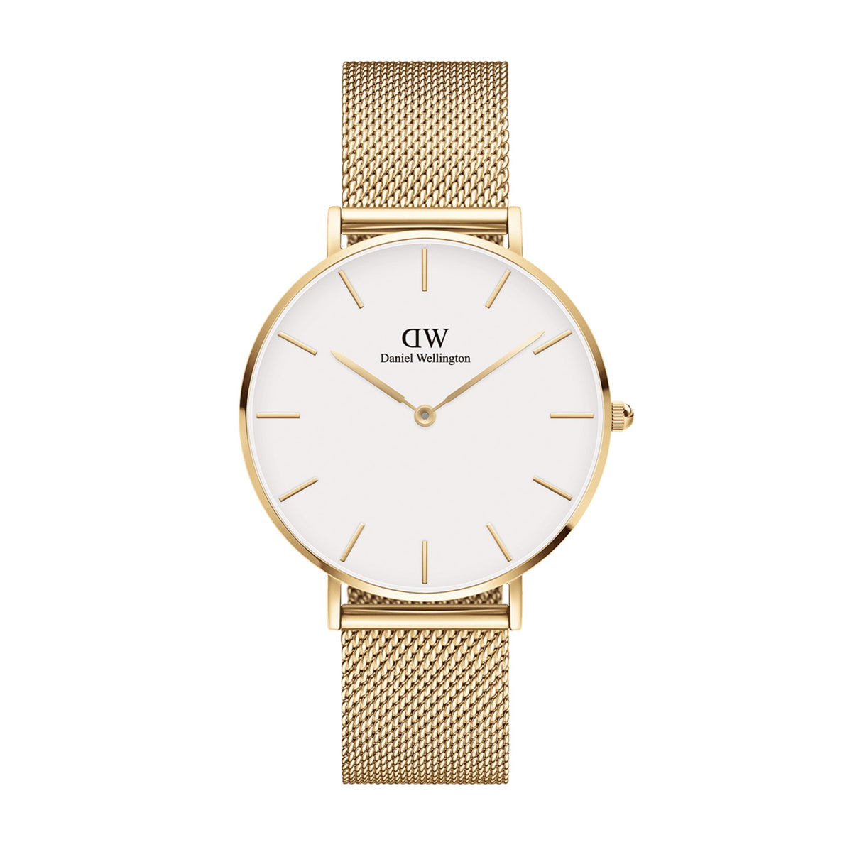 Petite 36 Evergold Gold & White Watch - Gold - image 1