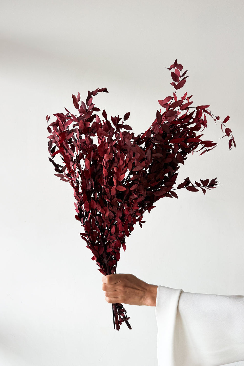 Preserved Small-leaf Gum - Maroon - image 1