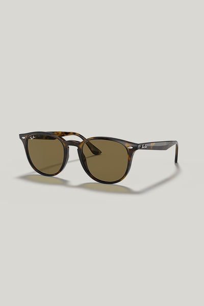 RB4259 - Tortoise - image 1