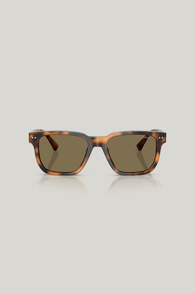 PH4252U - Tortoise - image 2