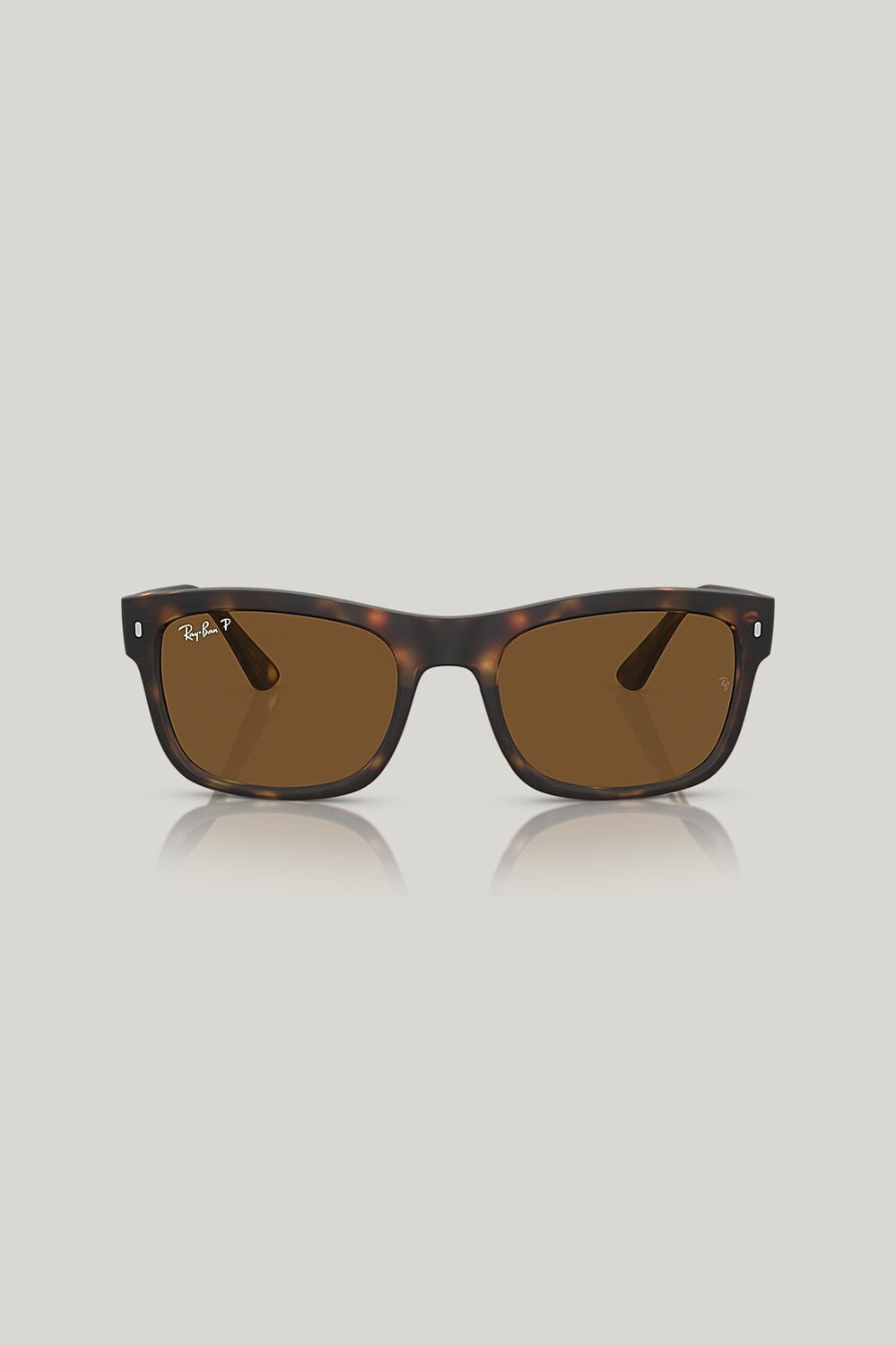 RB4428 Polarised - Tortoise - image 2