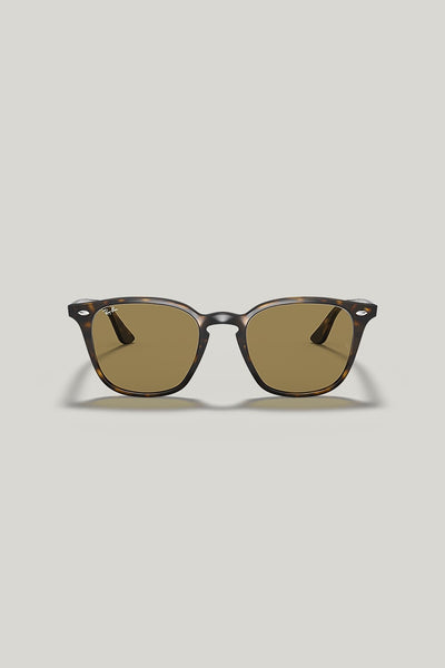 RB4258 - Tortoise - image 2